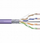 Digitus